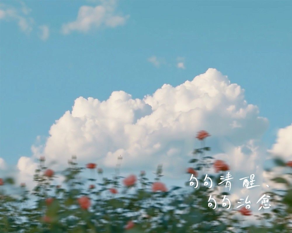 美女壁纸背景素材_美女壁纸4k高清清纯