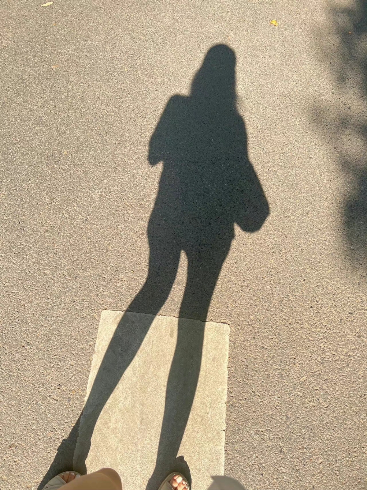 美女高雅造型_美女图片微信头像