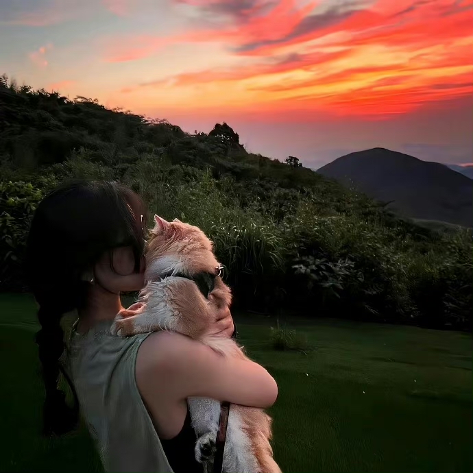 美女图片微信头像背影_美女图片微信头像真人